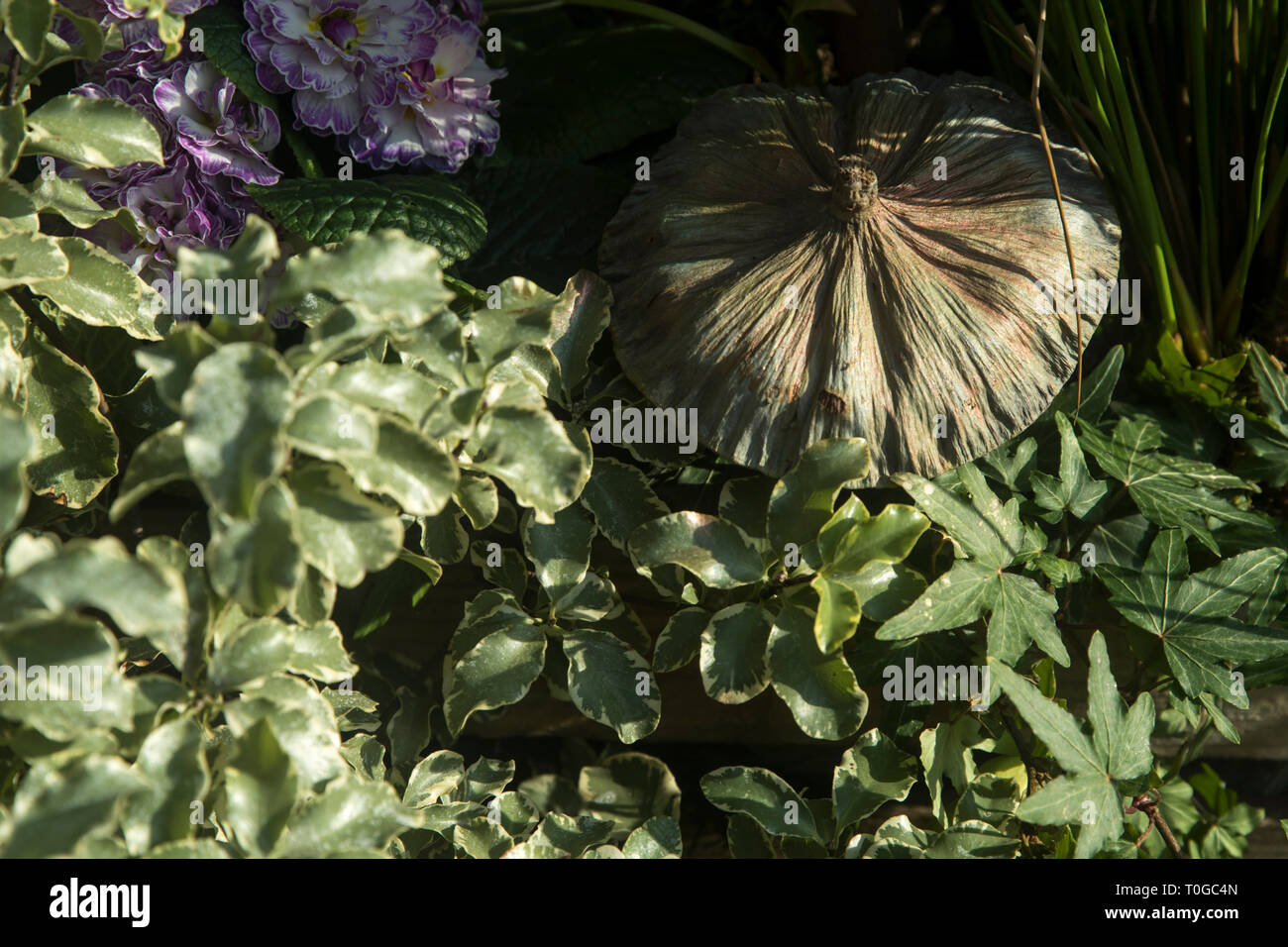 Artificial flowers on Covent Garden as decorations Stock Photo Alamy
