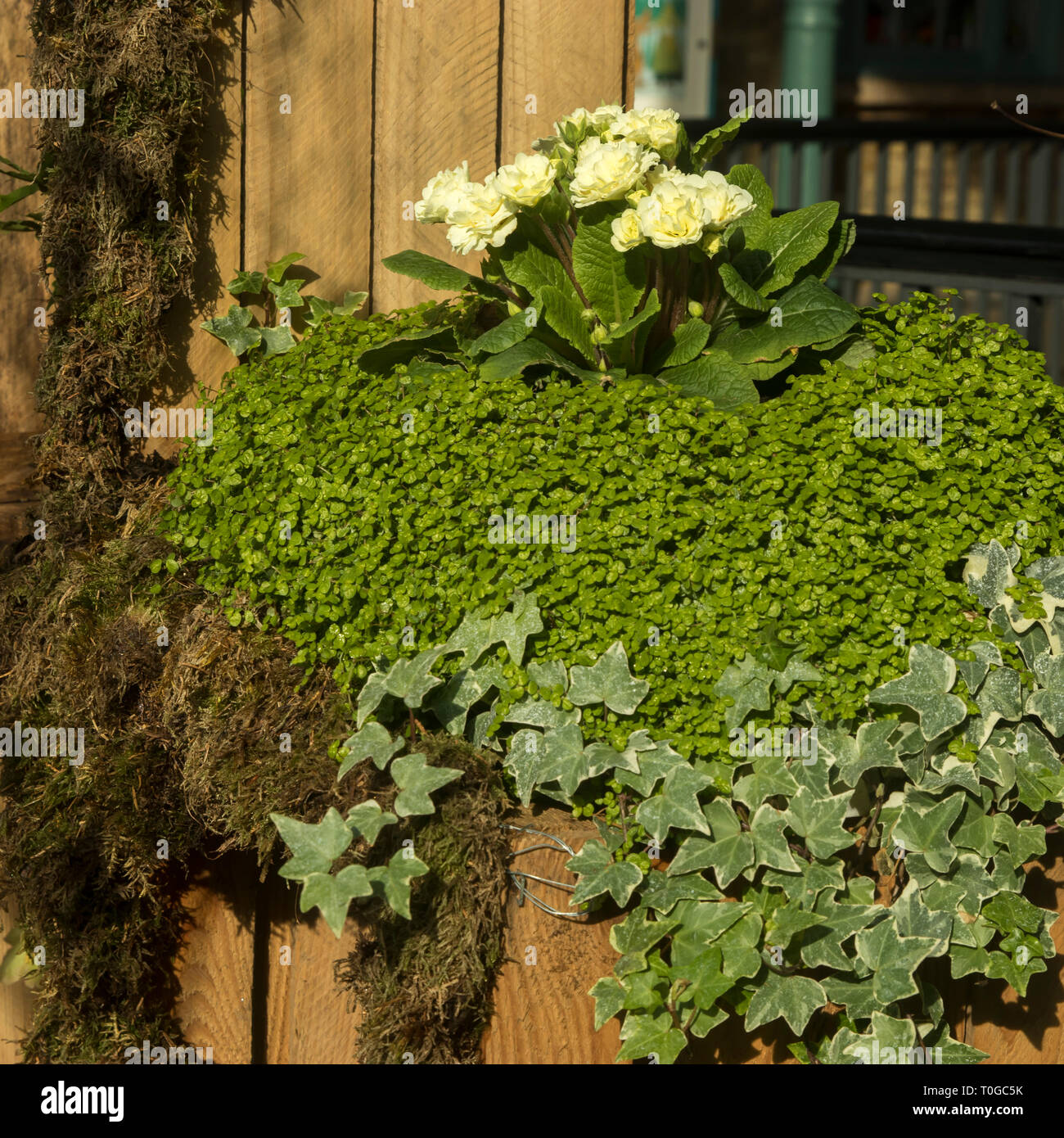 Artificial flowers on Covent Garden as decorations Stock Photo Alamy