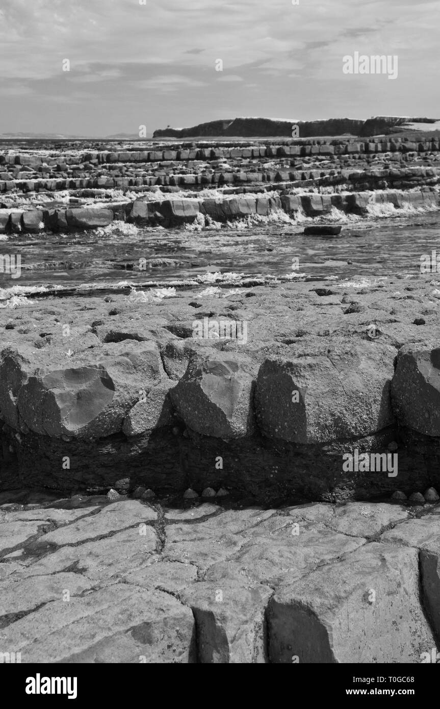 infrared picture of the exposed rock strata along the foreshore on the ...