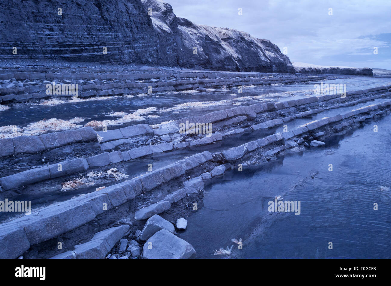 infrared picture of the exposed rock strata along the foreshore on the Bristol Channel coast at