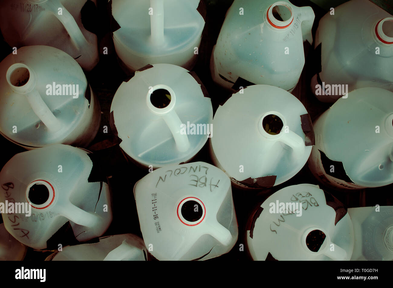 Empty plastic milk jugs Stock Photo Alamy