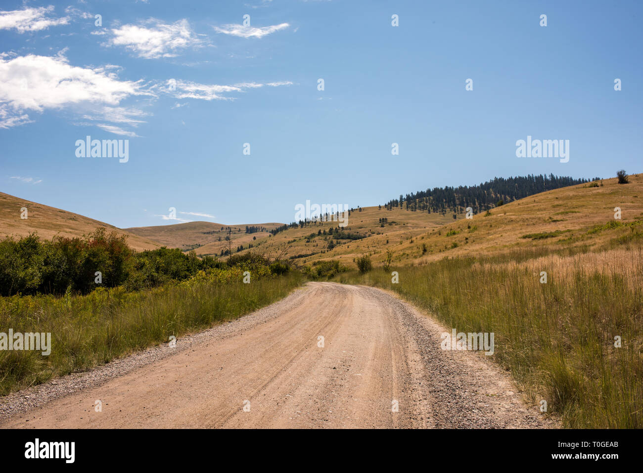 The National Bison Range in Charlo, Montana is one of the most