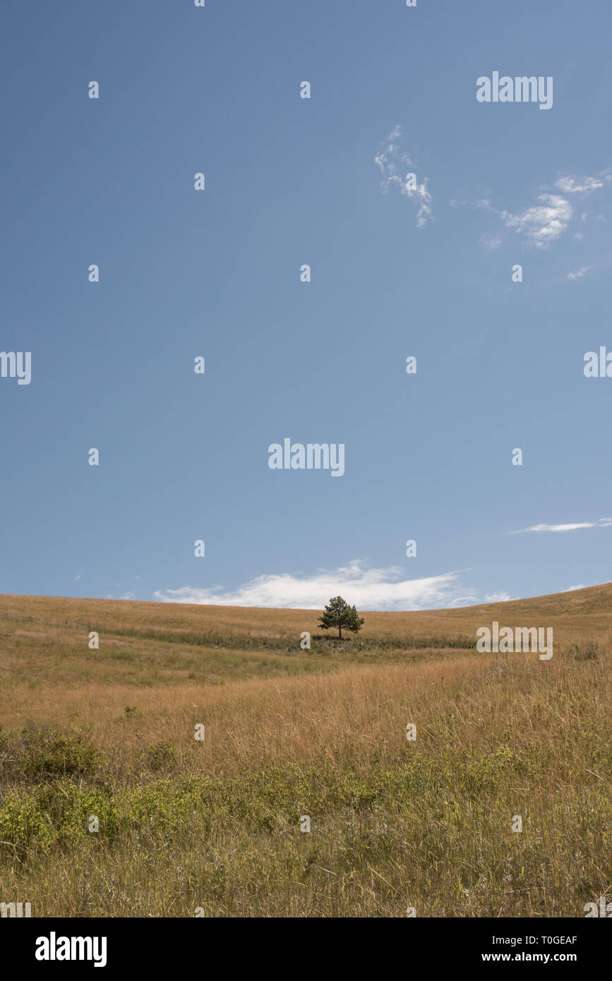 The National Bison Range in Charlo, Montana is one of the most