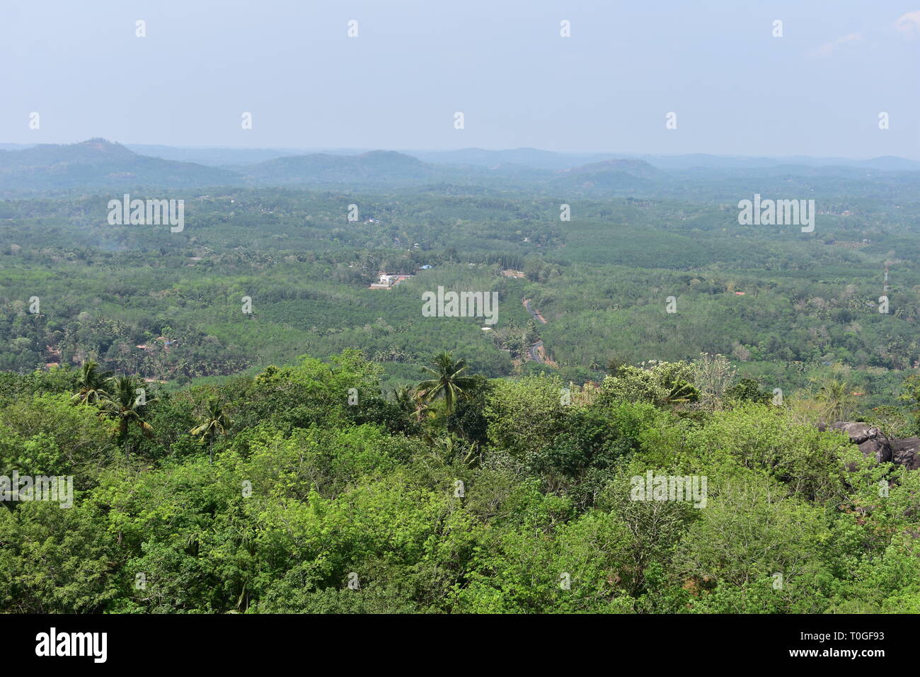 Kollam, Kerala, India - March 2, 2019 : Scenic beauty of the green valley Stock Photo