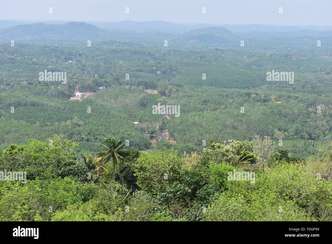 Kollam, Kerala, India - March 2, 2019 : The scenic beauty of the green valley Stock Photo