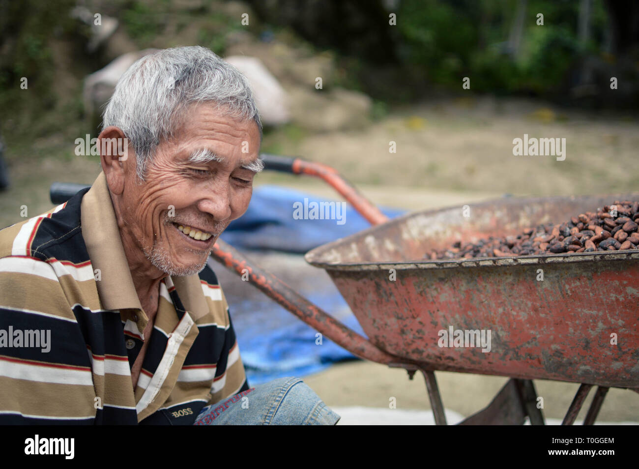 Sumatra, Indonesia – January 14, 2018: Local farmer sundries the harvest of his cocoa beans to prepare them for sale, in Lake Toba, Sumatra, Indonesia Stock Photo