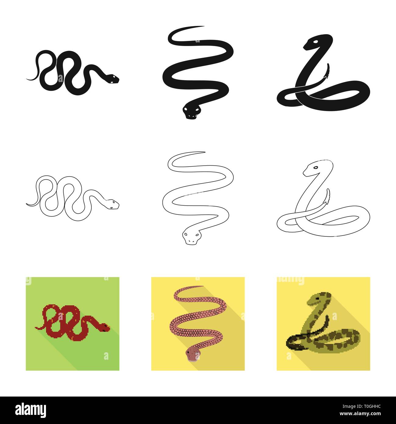snake,wild,tail,python,tropics,spiral,animal,forest,leather,green,brown ...