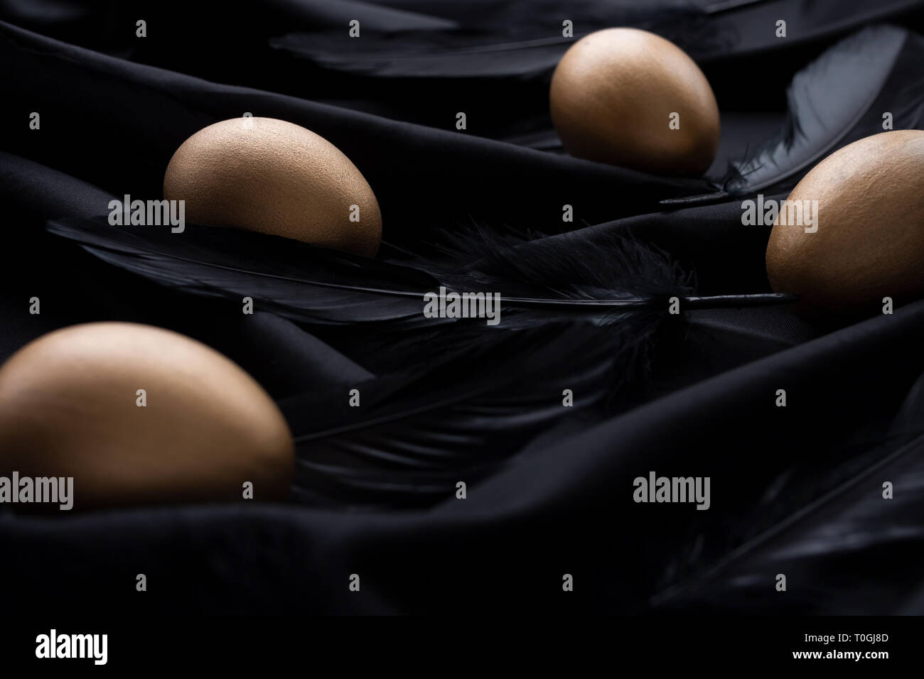 Elegant golden Easter eggs and black feathers on a silky black ...