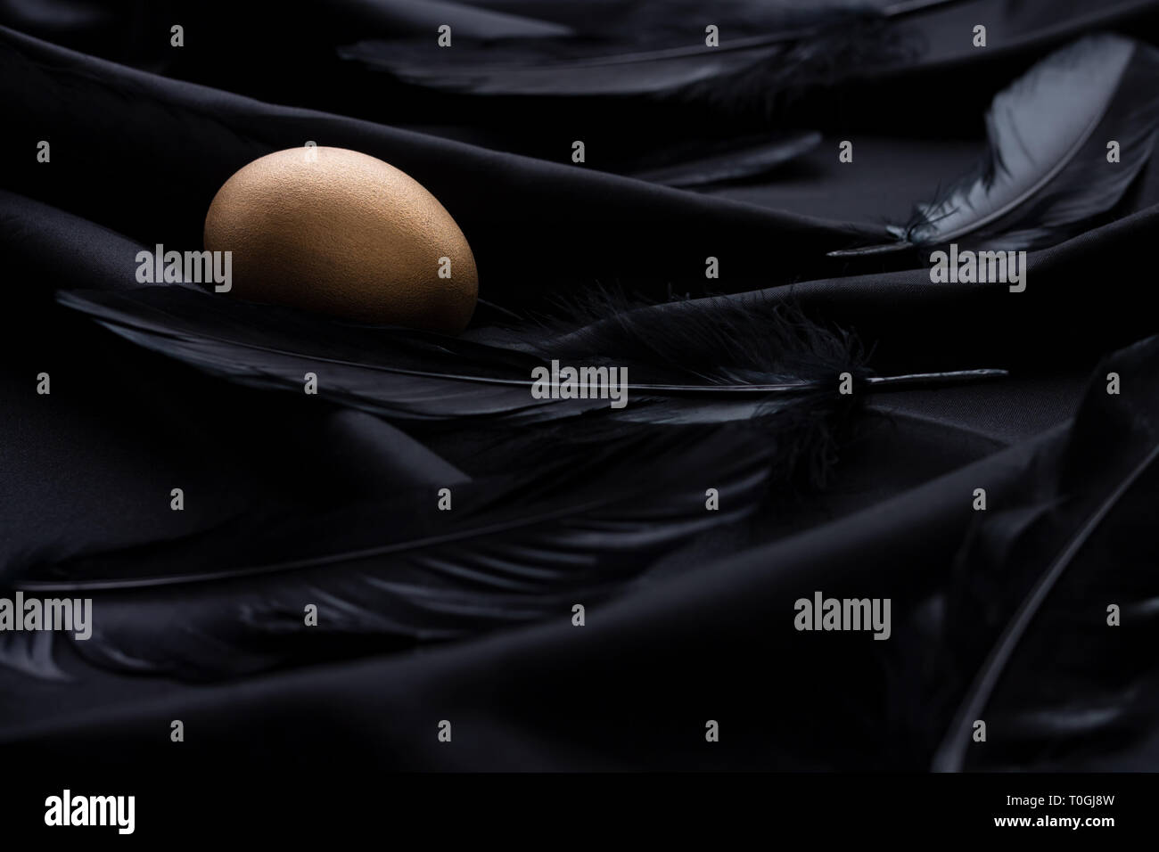 Elegant golden Easter egg and black feathers on a silky black ...