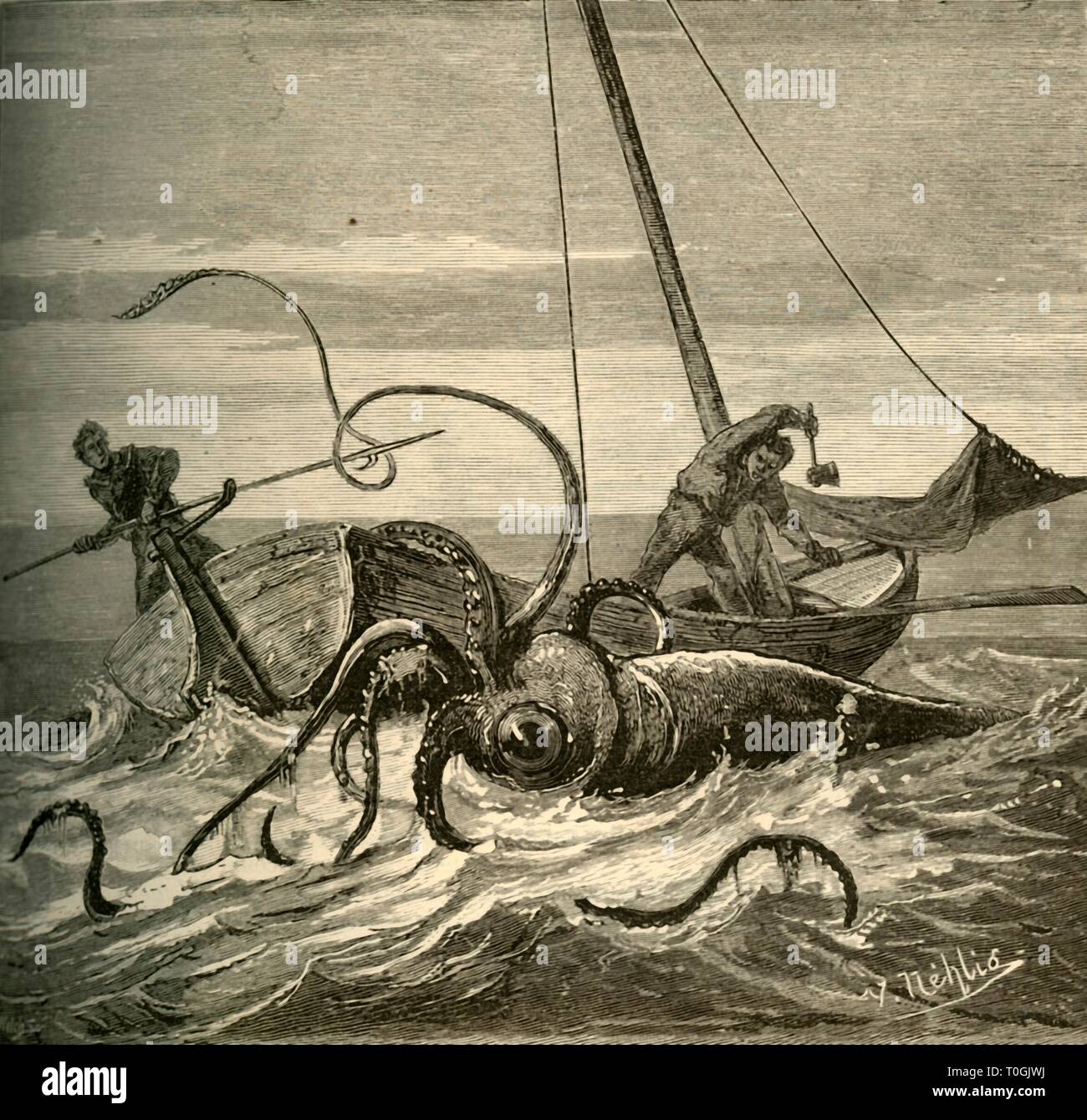 'The Fishermen Battle with the Giant Squid', 1881. Creator: Unknown. Stock Photo