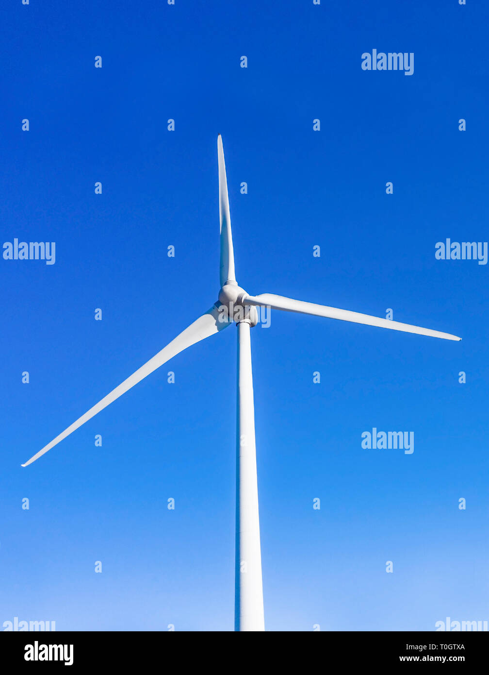 vertical image of a single wind  turbine with a plain blue sky background  for copy space shot from above Stock Photo