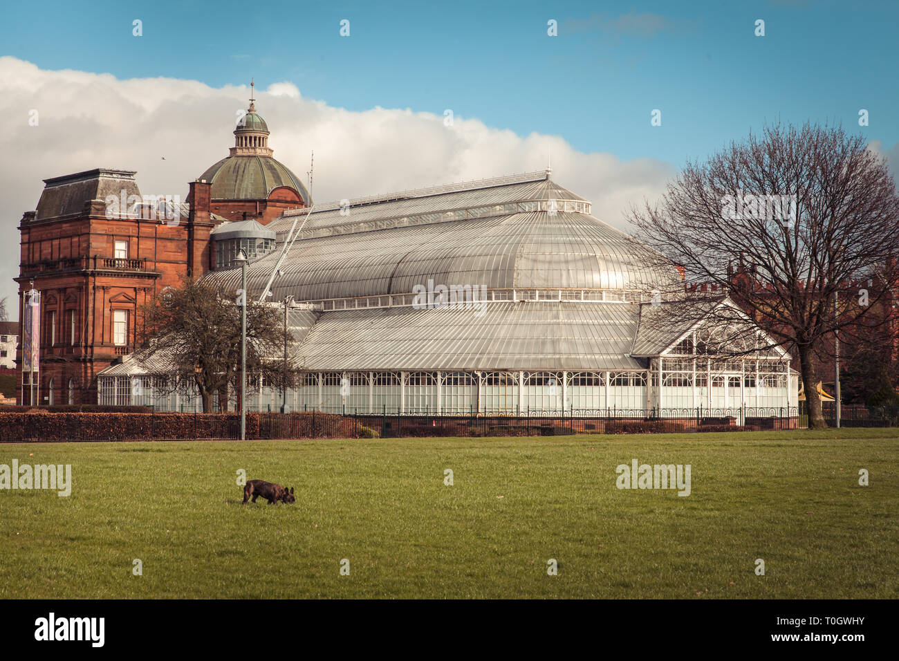 The Peoples Palace greenhouse on glasgow Green Scotland Stock Photo