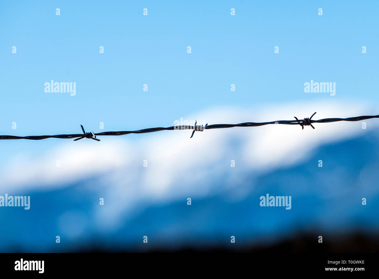 Close-up of barbed wire fence; ranch in Central Colorado; USA Stock Photo