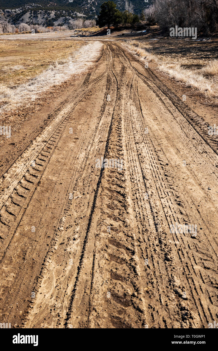 Muddy tire tracks on a ranch dirt road; central Colorado; USA Stock