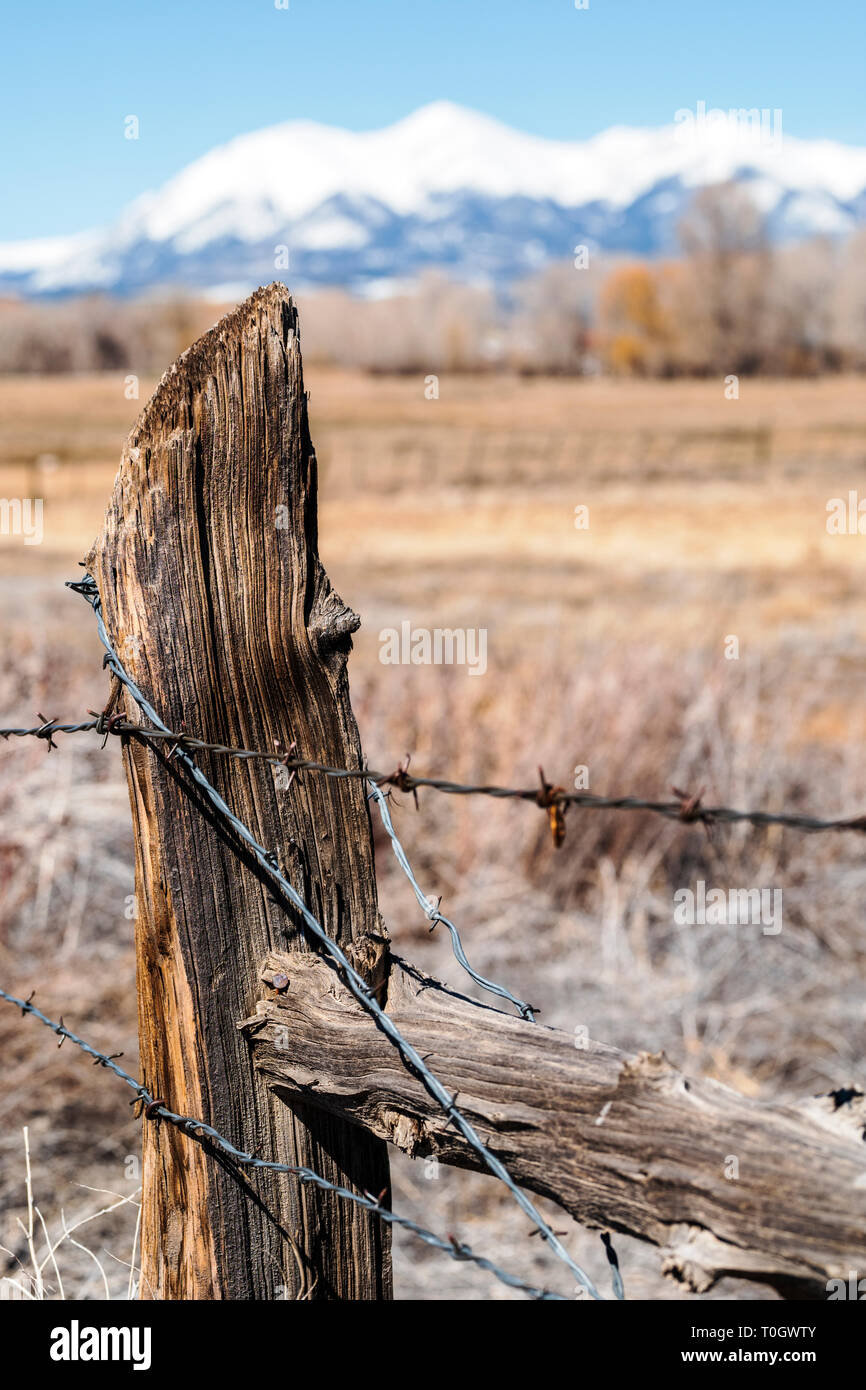 Close-up of barbed wire fence & wooden fence post; ranch in Central Colorado; USA Stock Photo