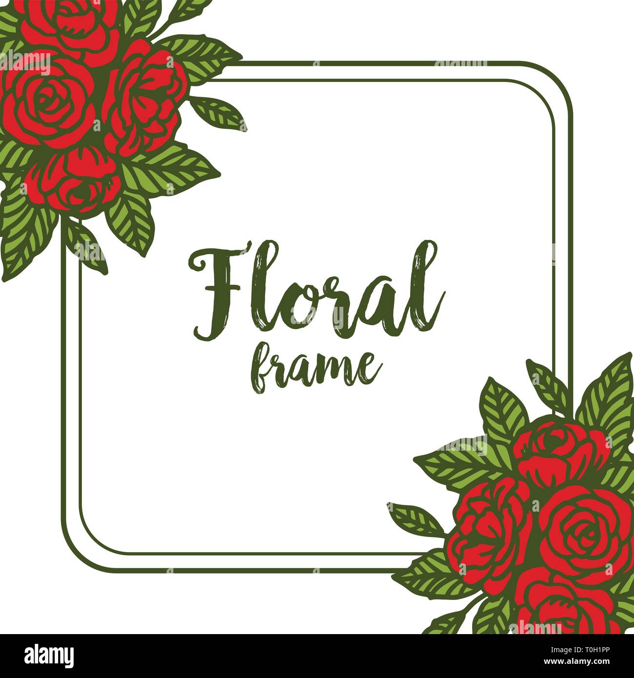 Vector illustration card design with rose flower frame very blooms hand ...