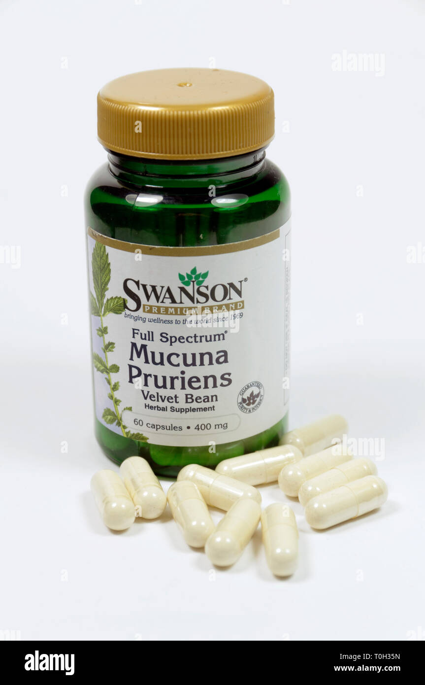 Bottle of Macuna Pruriens veltet bean herbal suppliment. Stock Photo
