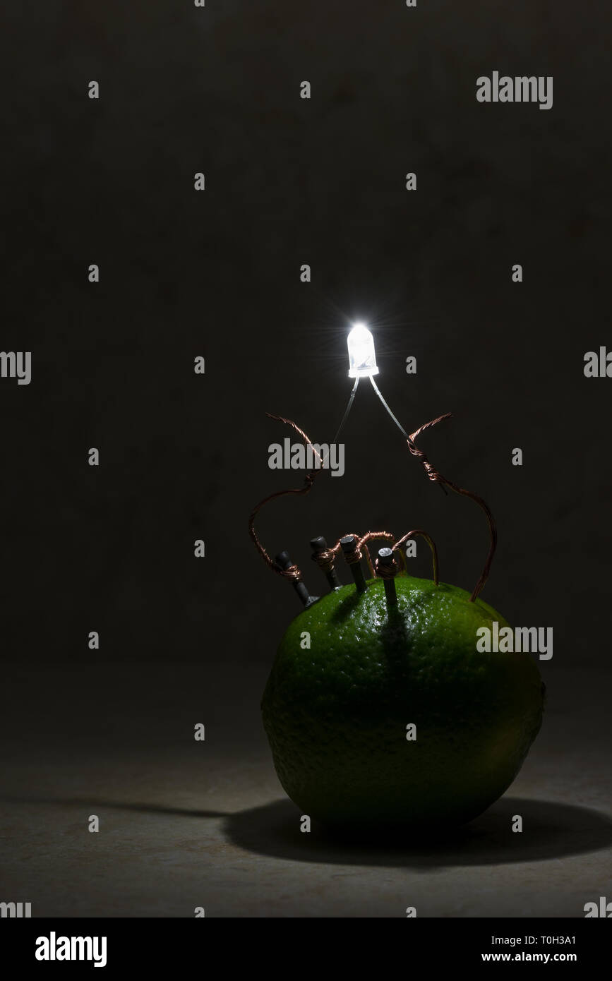 Citrus fruit, lemon, lime battery demonstrating an alternative organic