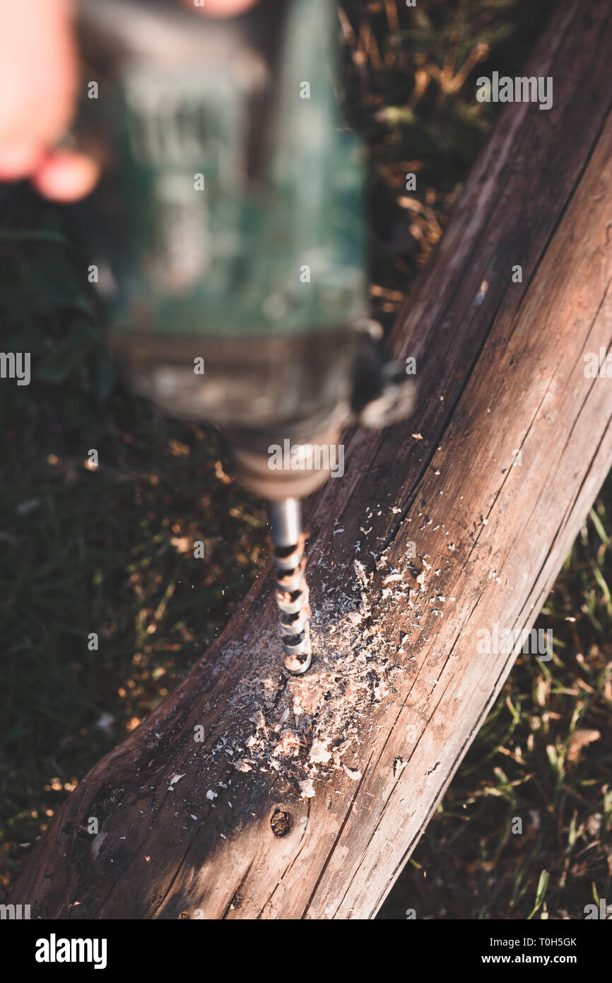 Drilling hole in timber while working in garden Stock Photo Alamy