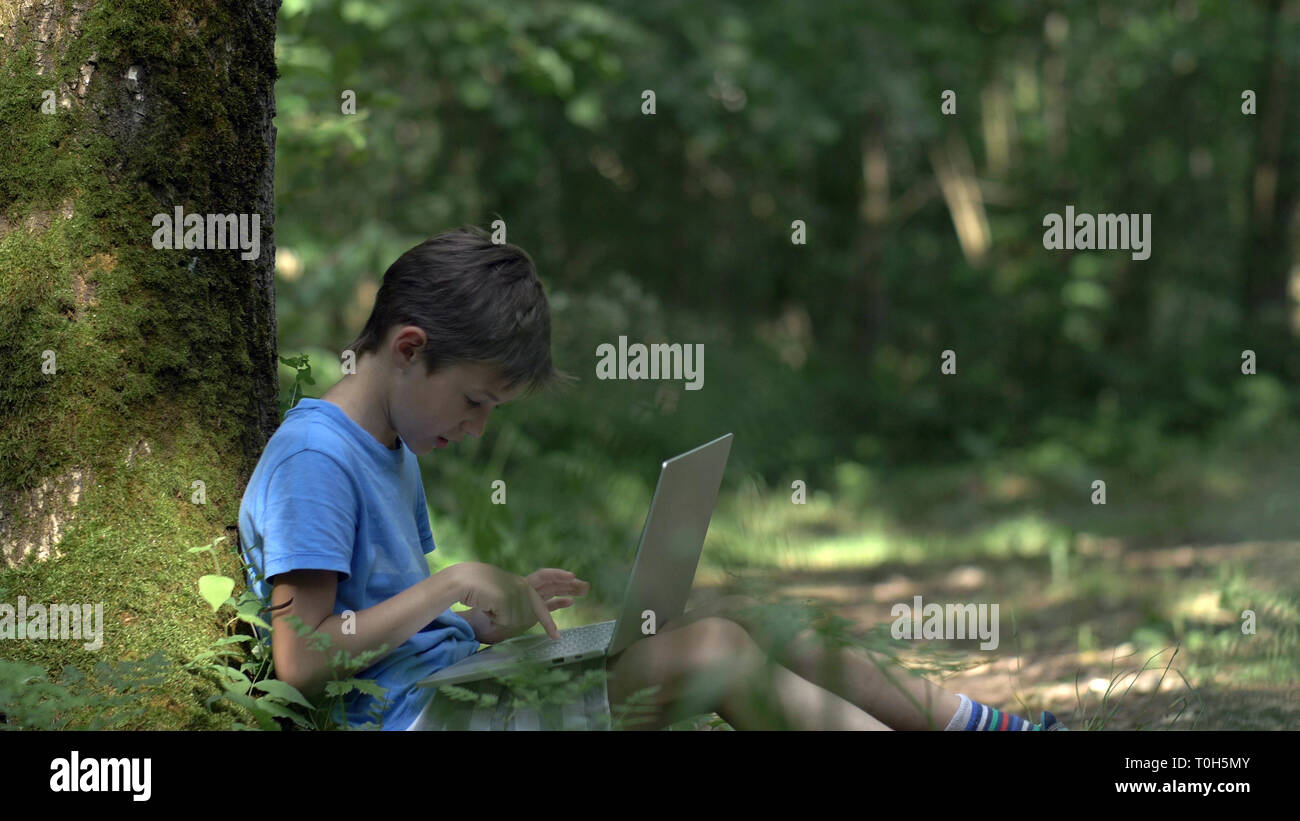 teen boy sitting near a tree in the forest and working on a laptop, sunrays Stock Photo