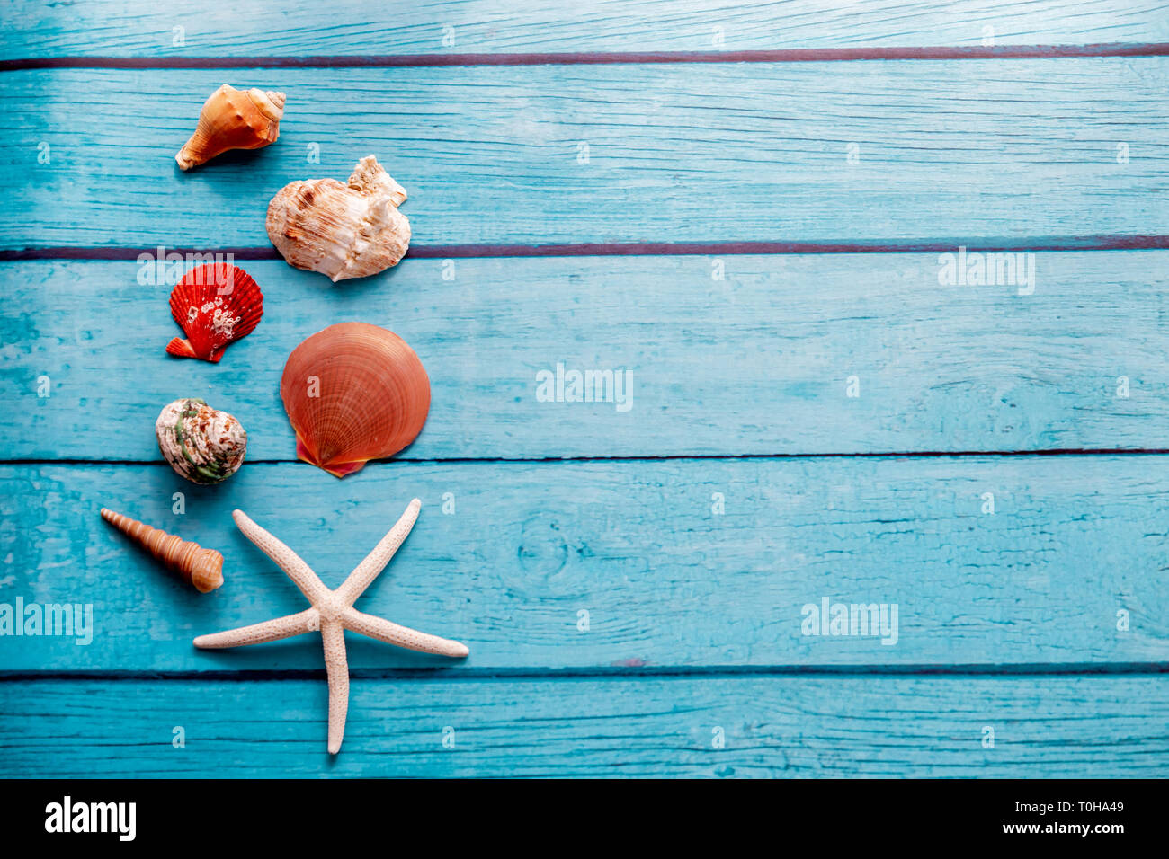 Top view of starfish and many seashells on blue wood textured ...