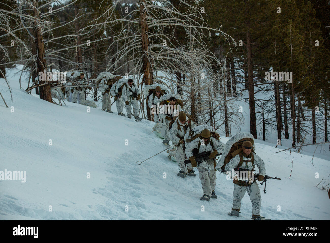 U.S. Marines with Company E, 2nd Battalion, 6th Marine Regiment, 2nd Marine Division conduct a tactical patrol during Mountain Training Exercise (MTX) 2-19 at Marine Corps Mountain Warfare Training Center, Bridgeport, Calif., March 16, 2019. Marines with Company E work on maneuvering techniques in snowy mountainous terrain. (U.S. Marine Corps photo by Lance Cpl. Tyler M. Solak) Stock Photo