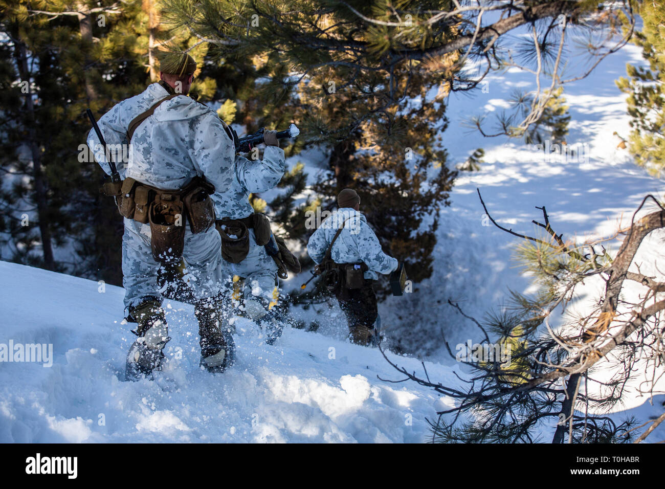 U.S. Marines with Company E, 2nd Battalion, 6th Marine Regiment, 2nd Marine Division conduct a simulated assault during Mountain Training Exercise (MTX) 2-19 at Marine Corps Mountain Warfare Training Center, Bridgeport, Calif., March 18, 2019. Marines with Company E work on maneuvering techniques in snowy mountainous terrain. (U.S. Marine Corps photo by Lance Cpl. Tyler M. Solak) Stock Photo