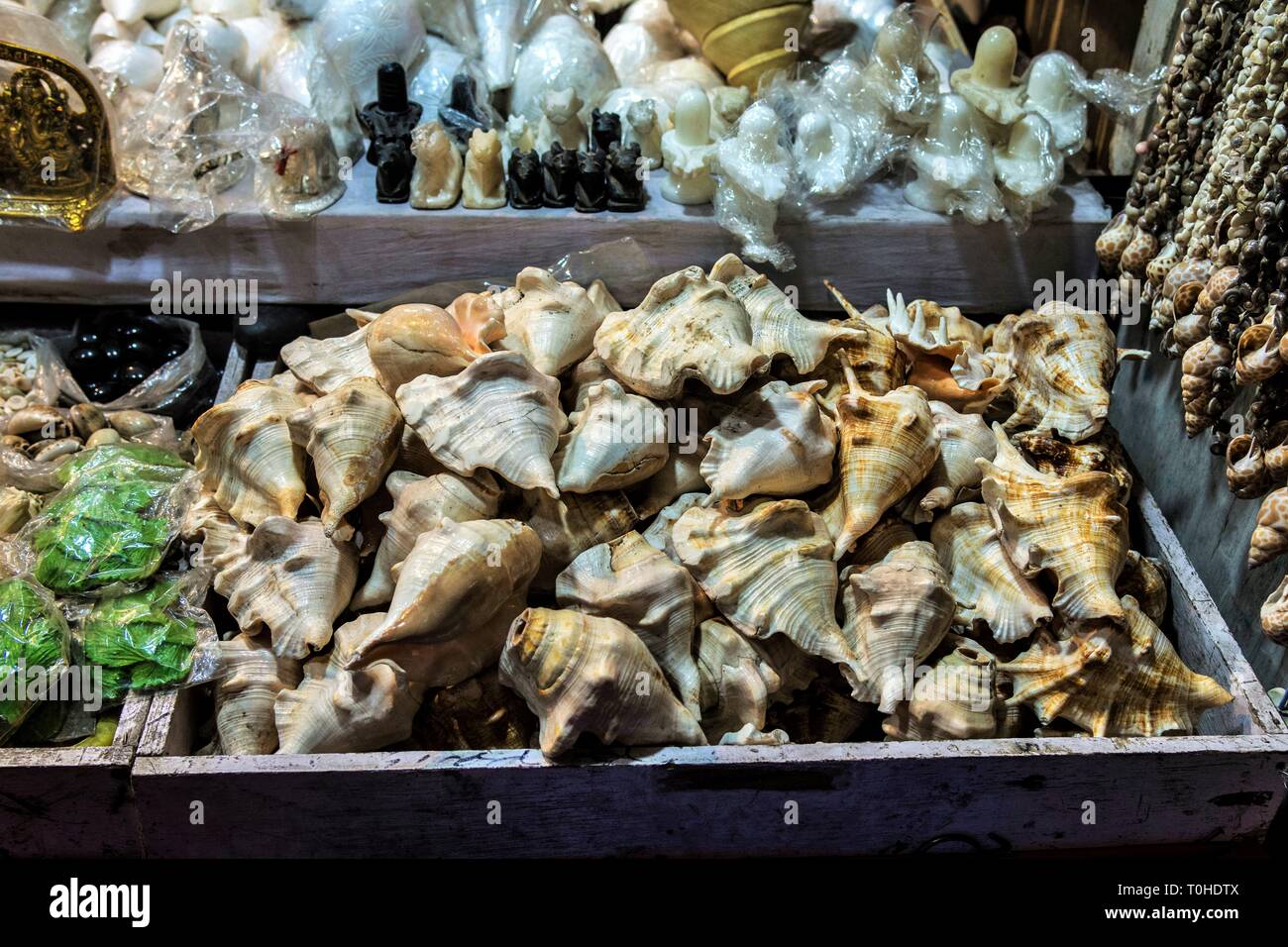 Seashells shop, Rishikesh, Uttarakhand, India, Asia Stock Photo