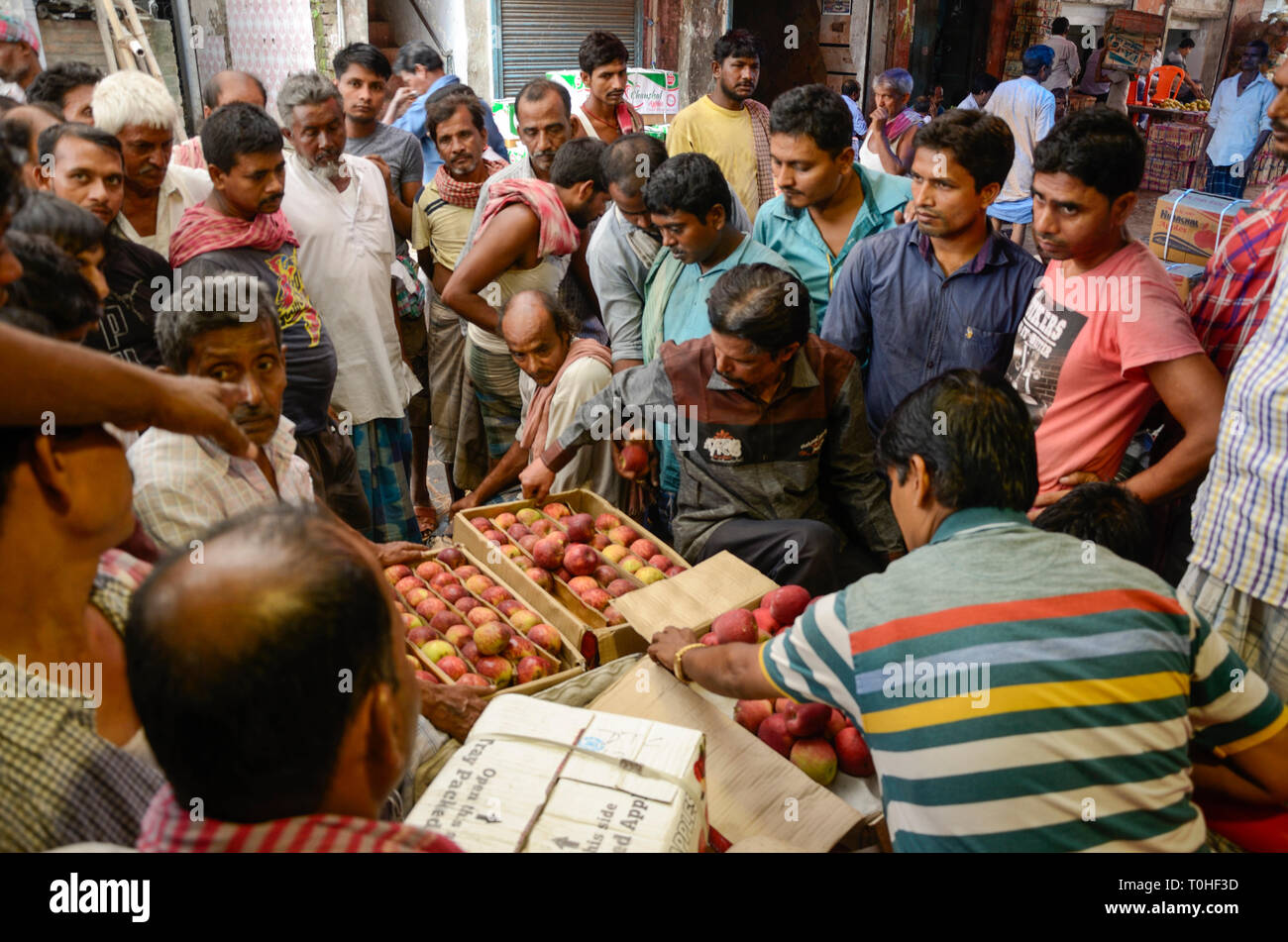 Men buying fruits in vegetable market, Kolkata, West Bengal, India, Asia Stock Photo