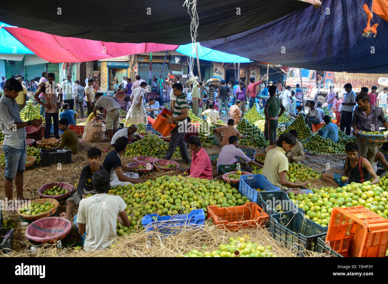 Men buying fruits in vegetable market, Kolkata, West Bengal, India, Asia Stock Photo