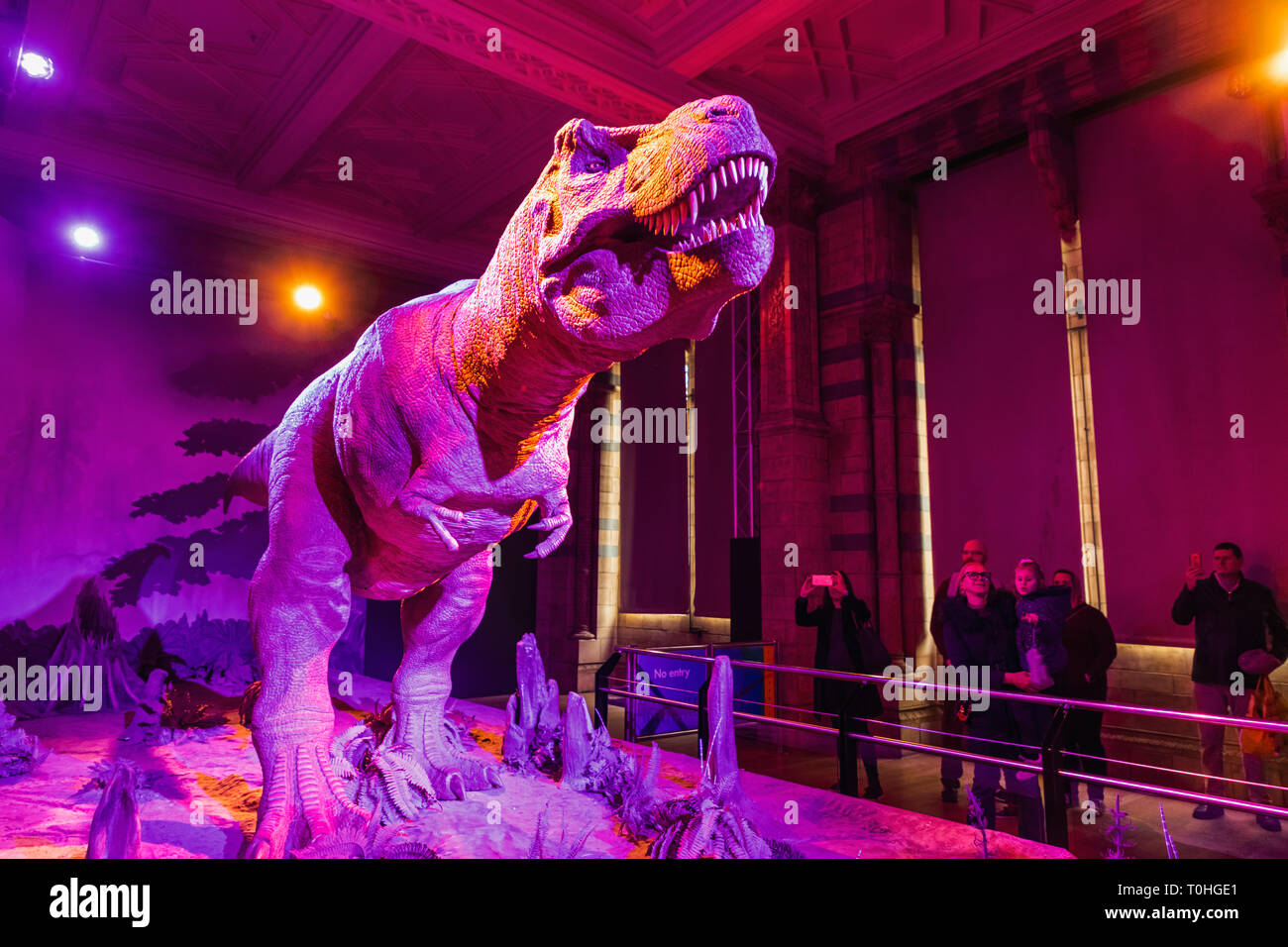 England, London, South Kensington, Natural History Museum, Animatonic Model of a Tyrannosaurus Rex Dinosaur Stock Photo