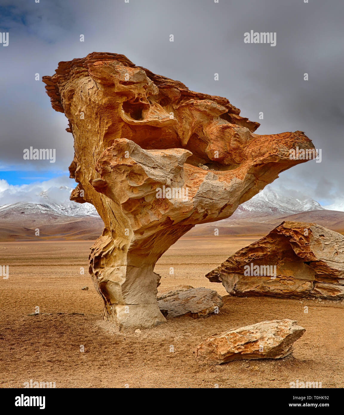 Arbol de Piedra, Siloli desert (bolivia) - HDR image Stock Photo