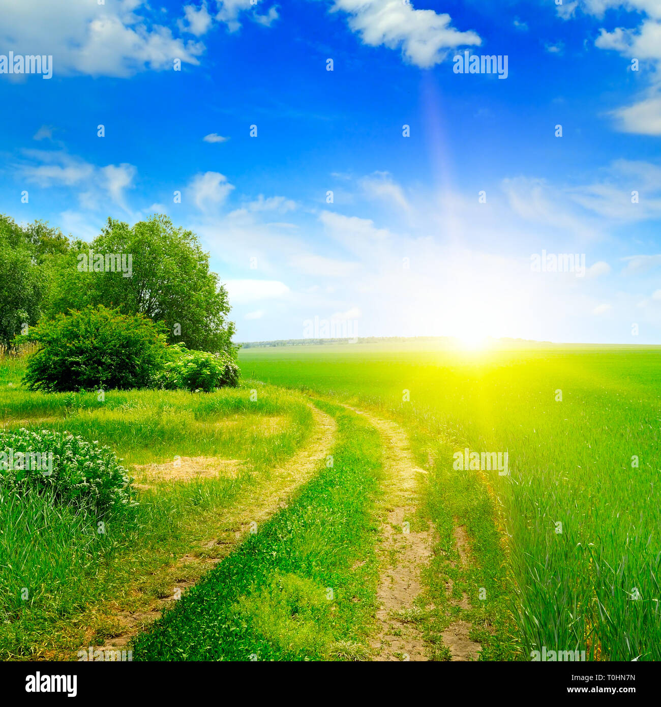 green field and sun on blue sky Stock Photo - Alamy