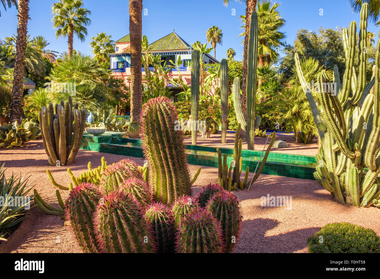 Botanical garden Jardin Majorelle in Marrakesh Stock Photo