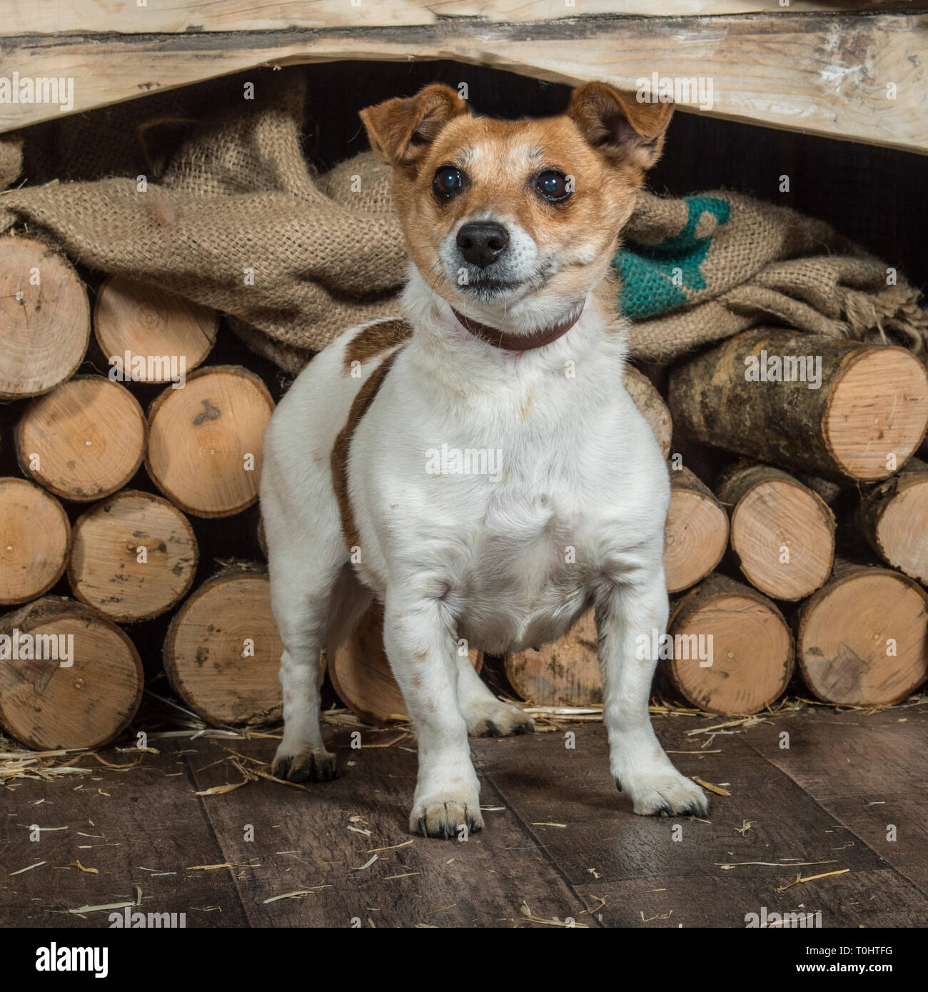 Russell Farm Stock Photos Russell Farm Stock Images Alamy