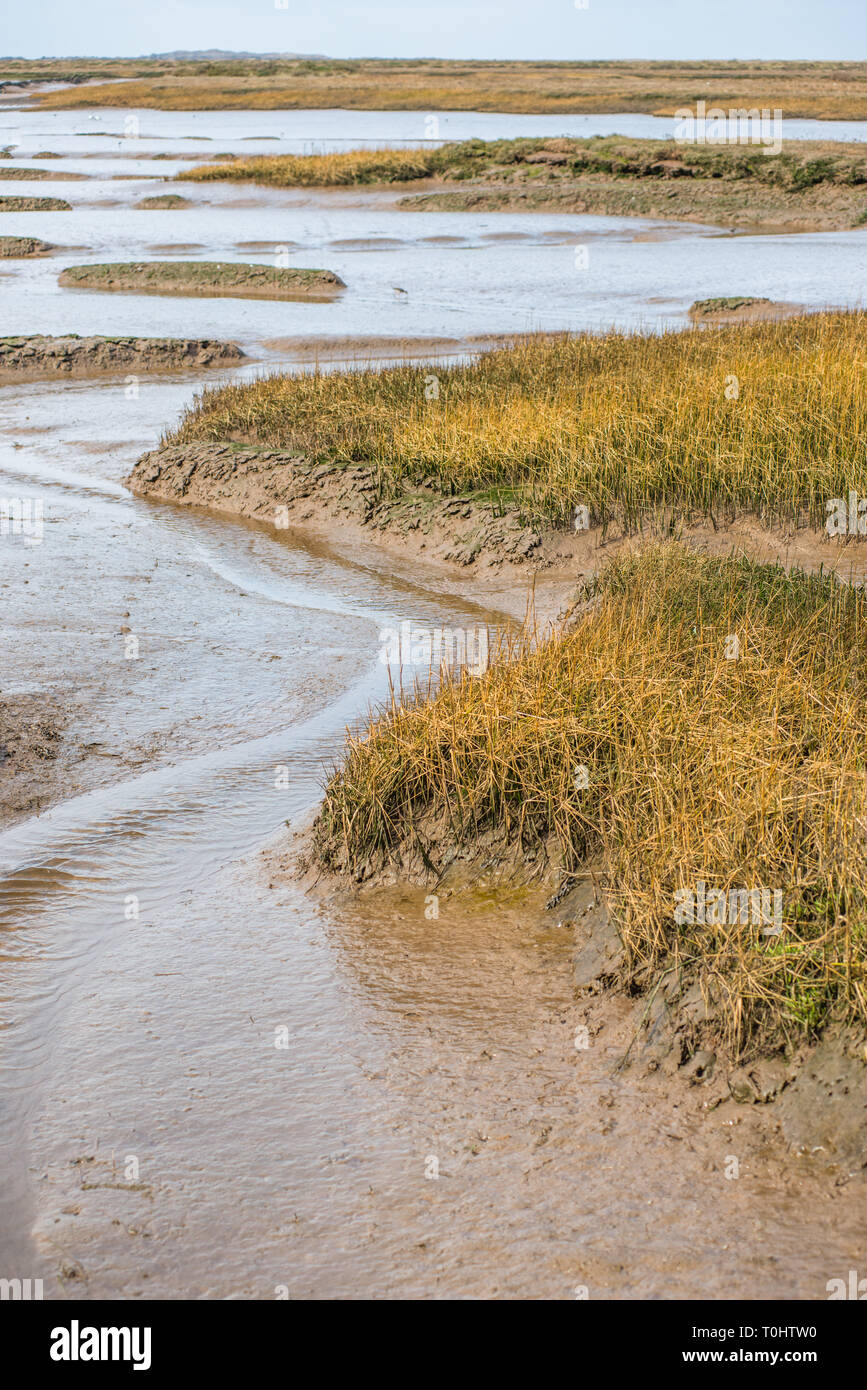 Views of mudflat at low tide from Norfolk Coast path National Trail near Burnham Overy Staithe, East Anglia, England, UK. Stock Photo