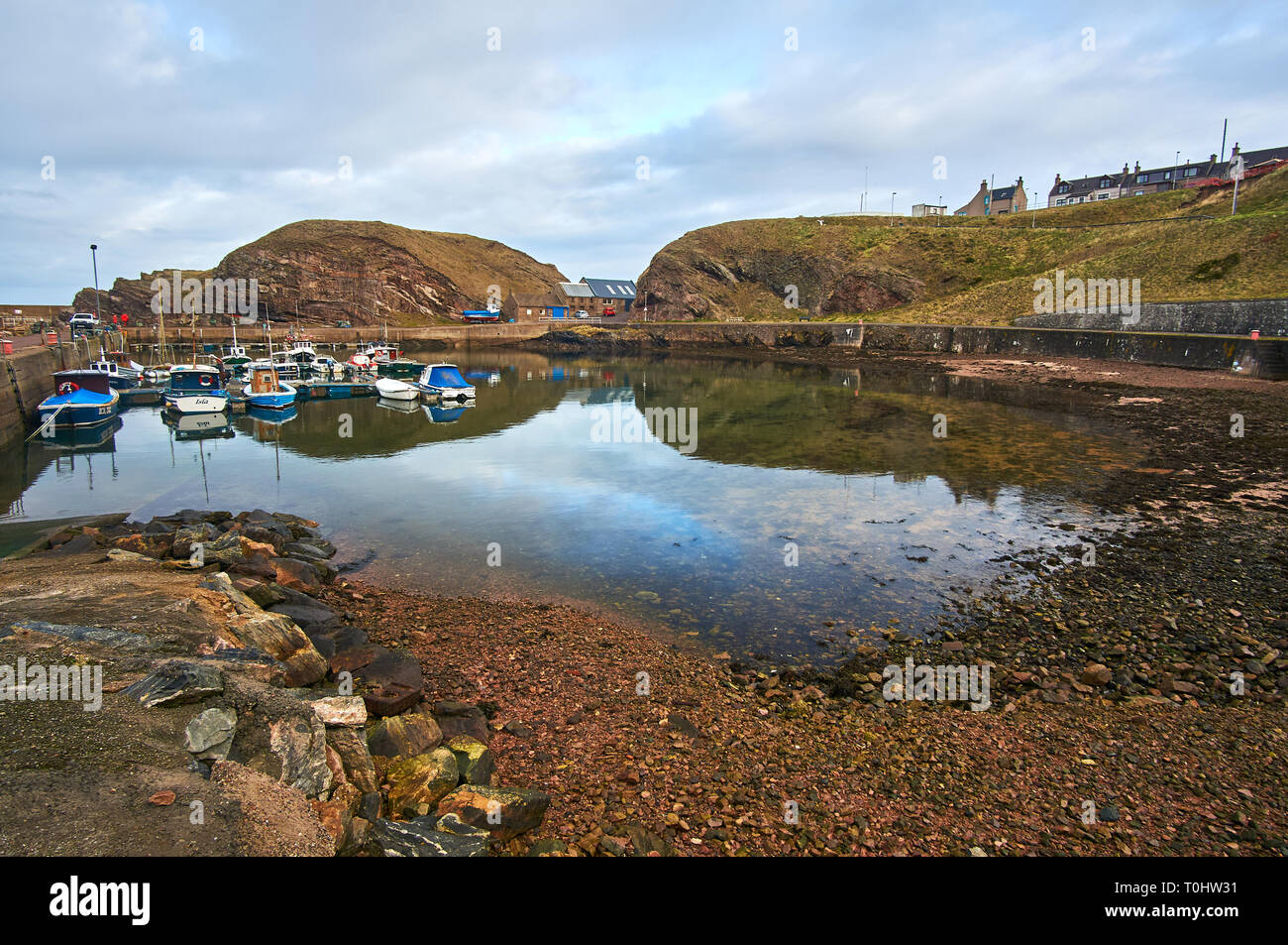 Herring fishing scotland hires stock photography and images Alamy