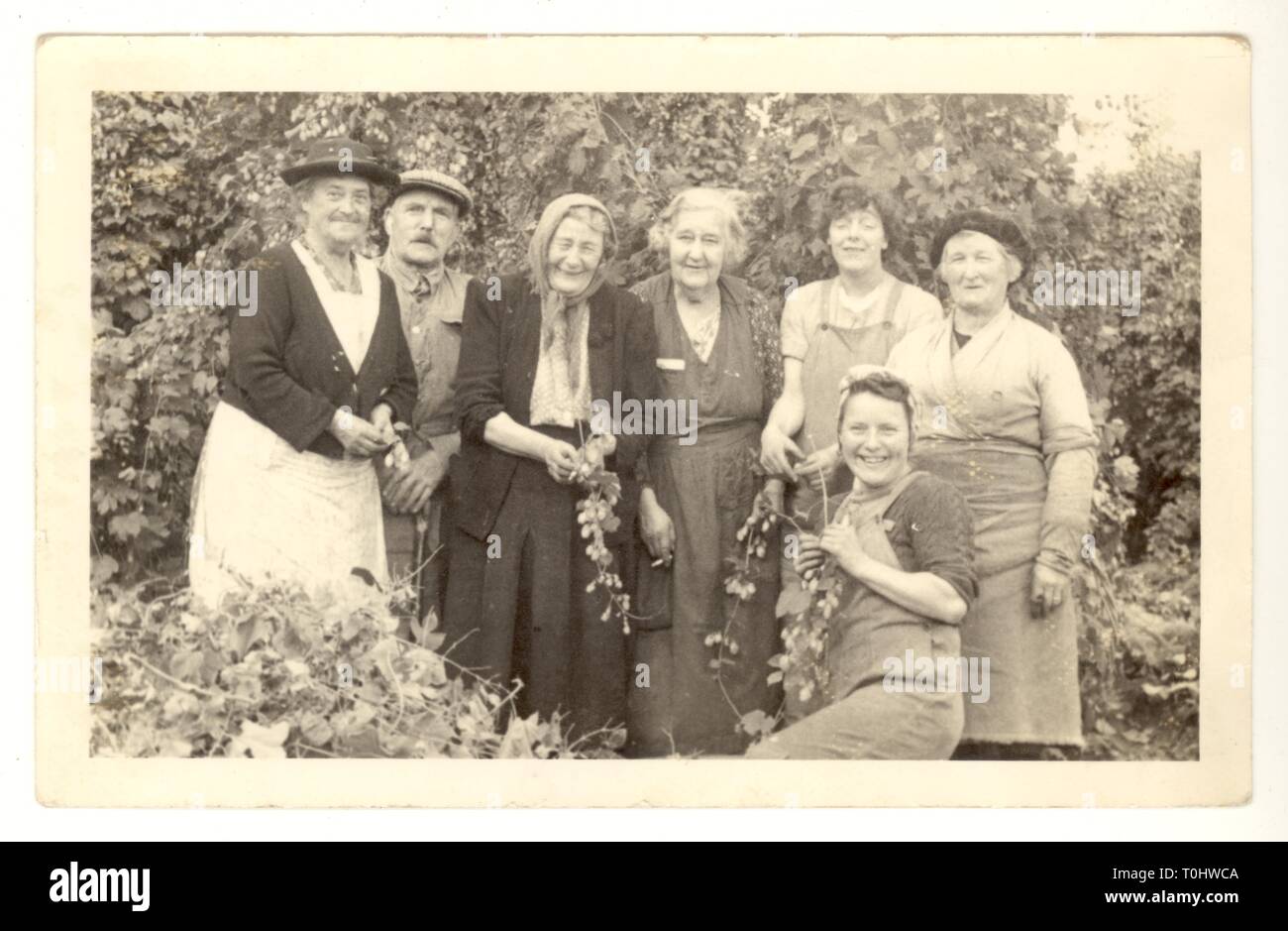 Original and wonderful 1930's or 1940's postcard of happy smiling hop pickers, family and friends, enjoying themselves on a working holiday, in a hop garden, bygone days, lots of characters, working classes, Kent, England,  U.K Stock Photo