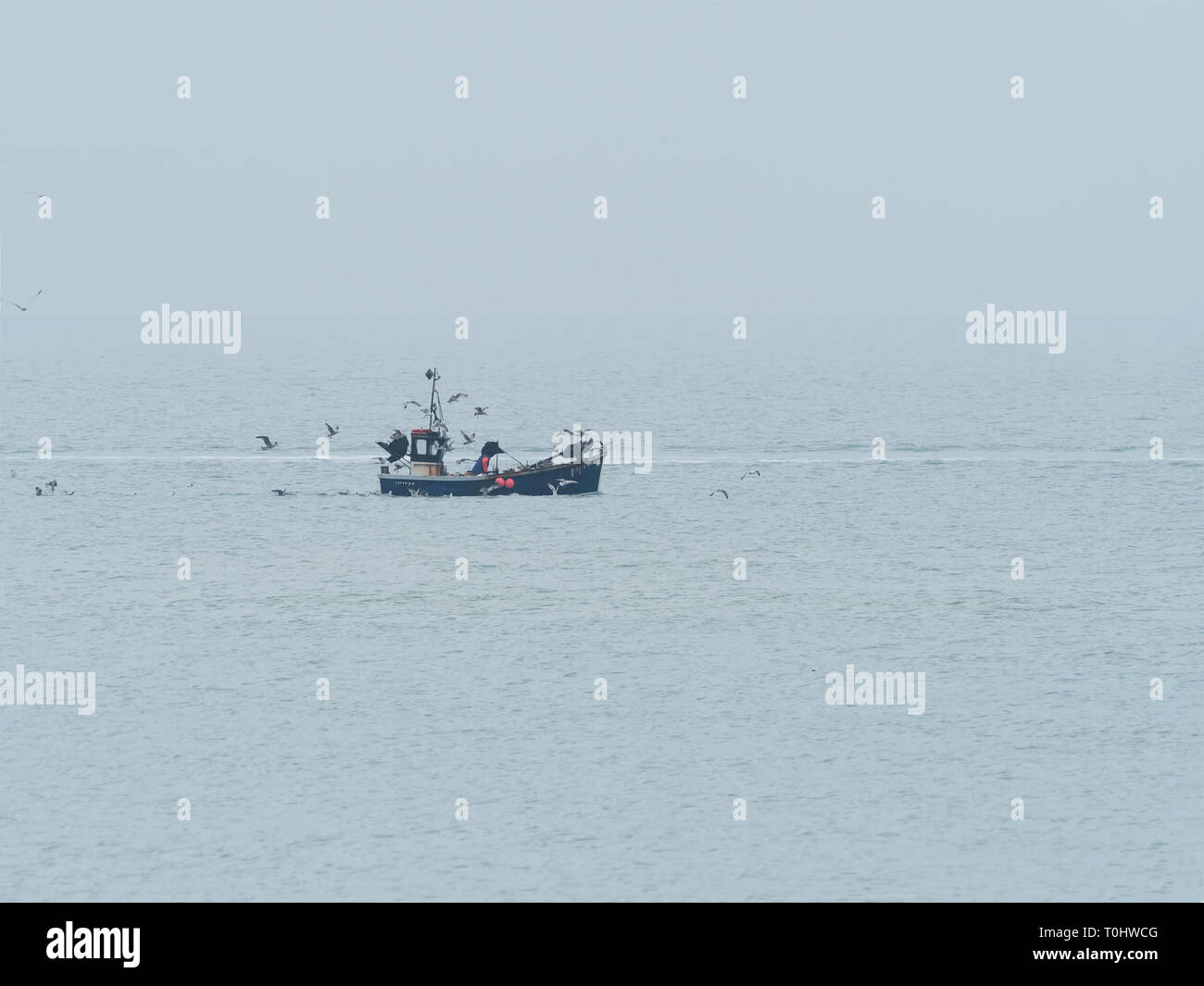 Fishing boat and gulls off the Sussex coast on a misty day. Stock Photo