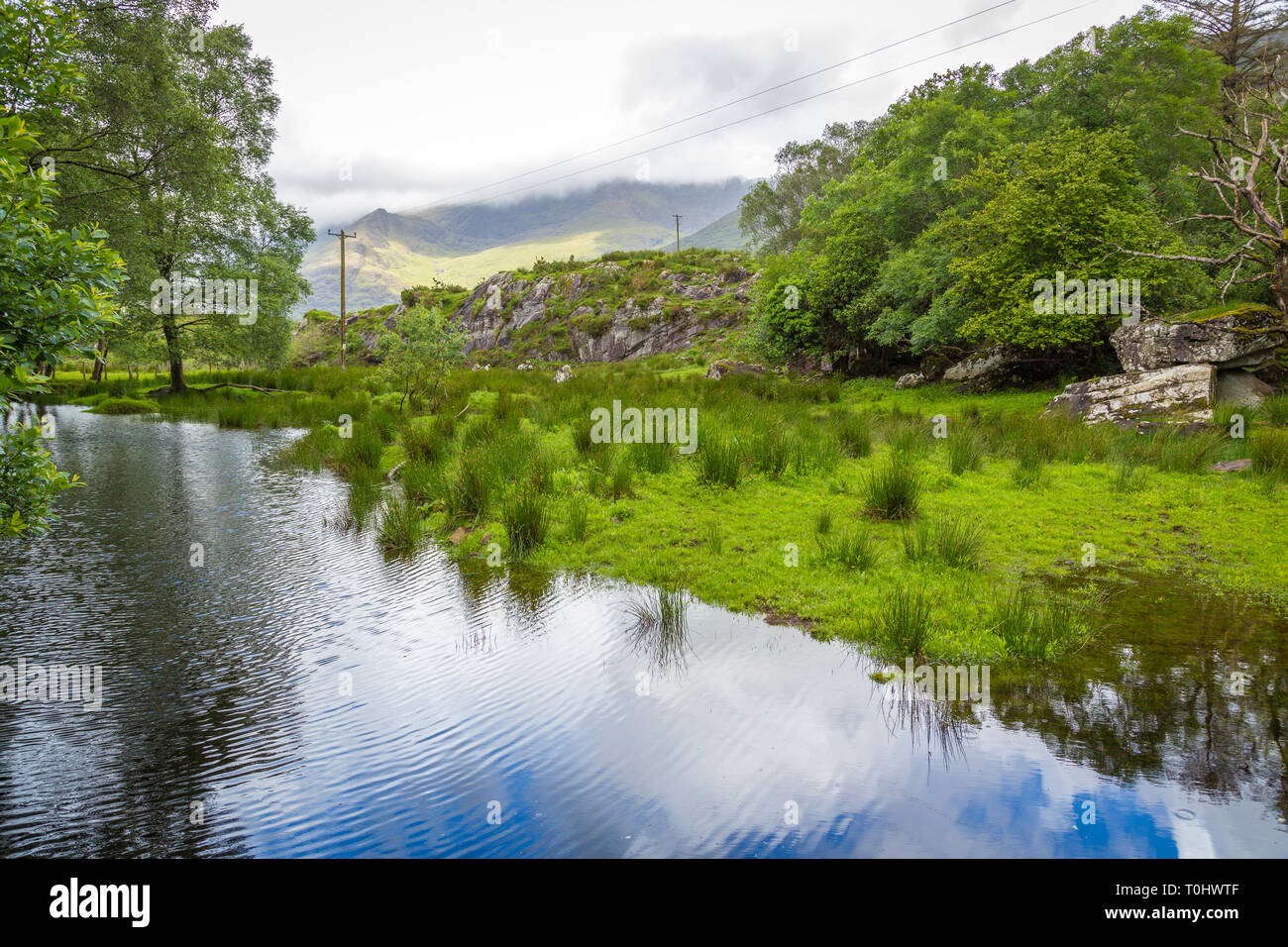 Bridge to Lord Brendans Cottage, Killarney Nationalpark, Co Kerry