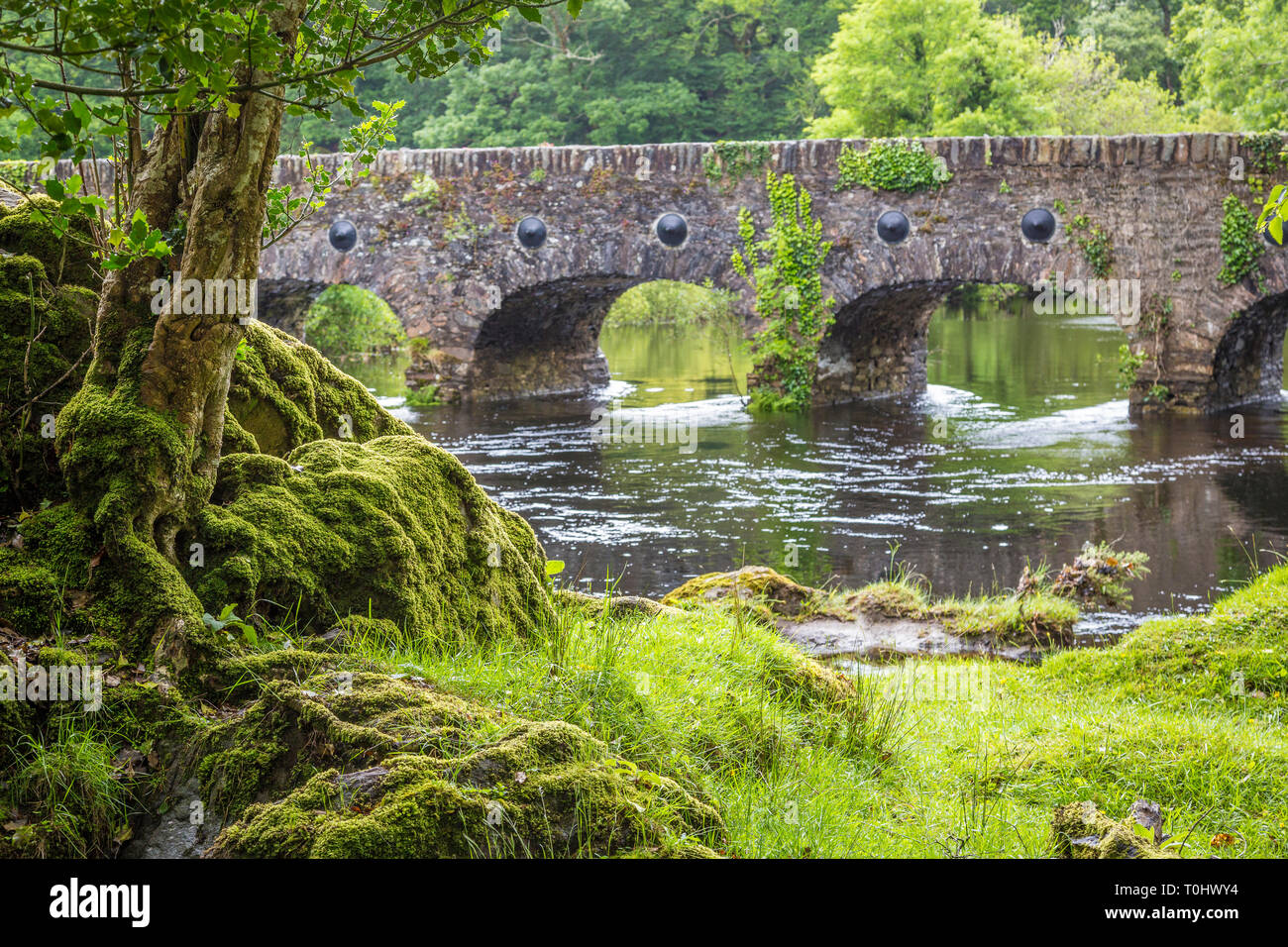Bridge to Lord Brendans Cottage, Killarney Nationalpark, Co Kerry