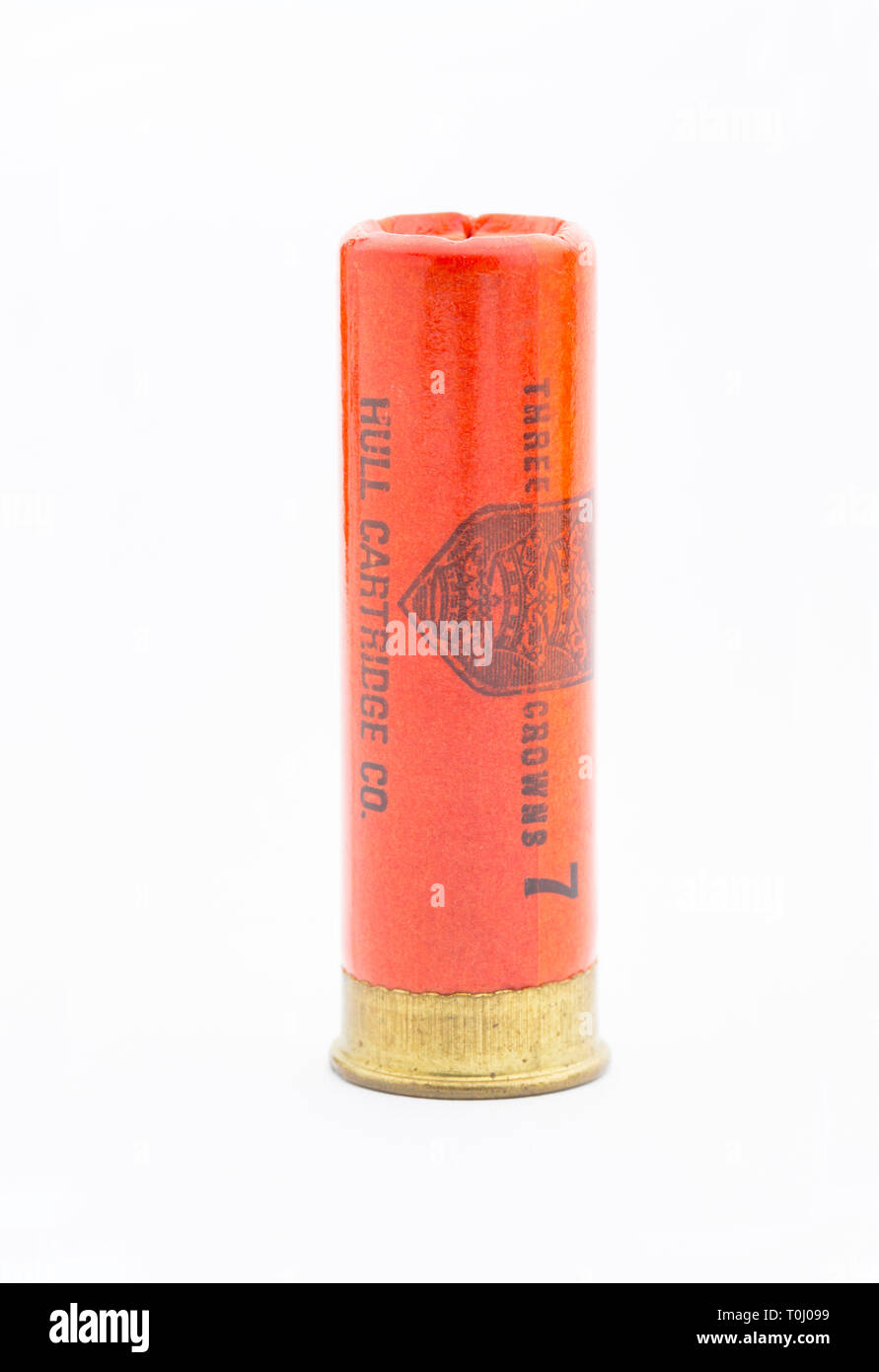A Hull Cartridge Co. paper cased 20 gauge, or bore, shotgun cartridge loaded with No 7 lead shot. Collecting shotgun cartridges is a hobby that can be Stock Photo
