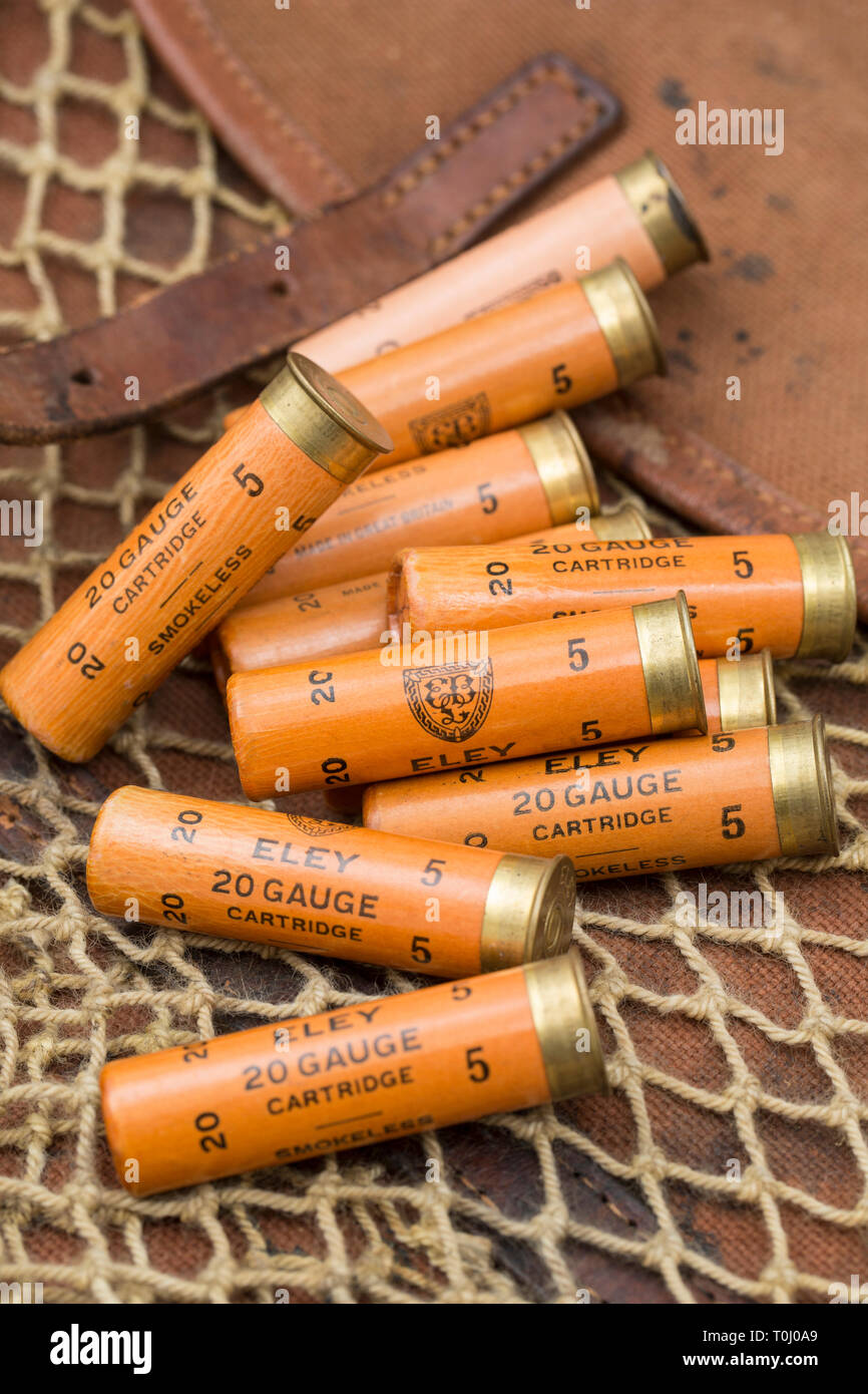 Biggest Shotgun Gauge