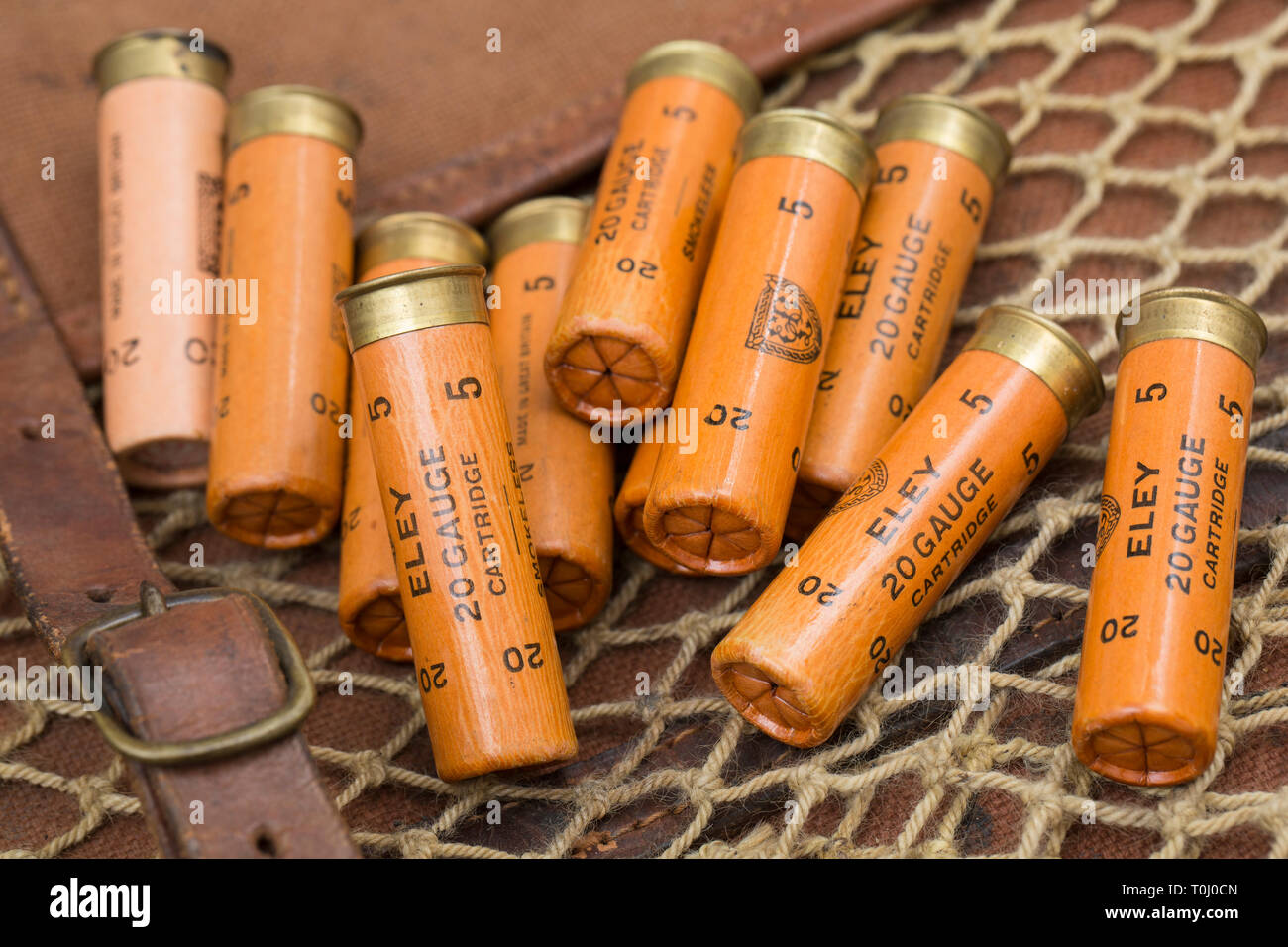 A number of old Eley paper cased 20 gauge, or bore, shotgun cartridges