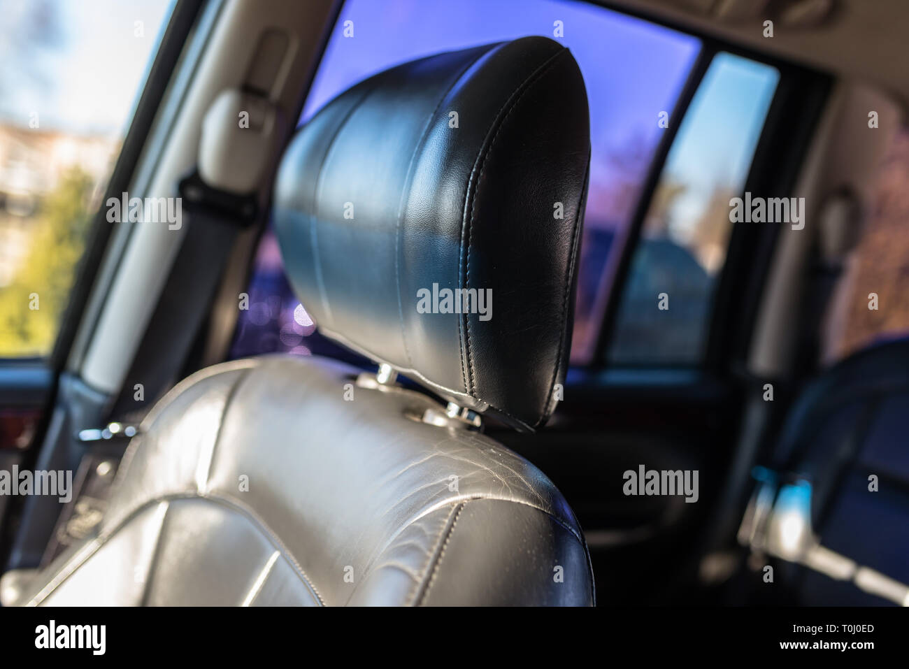 Leather car headrest illuminated by the sun, inside the used car, visible signs of use. Stock Photo