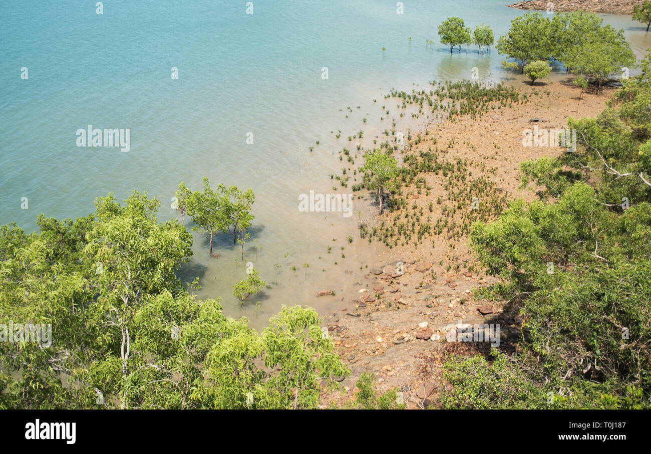 Elevated view over shoreline with native flora and mangrove trees in Darwin, Australia Stock Photo