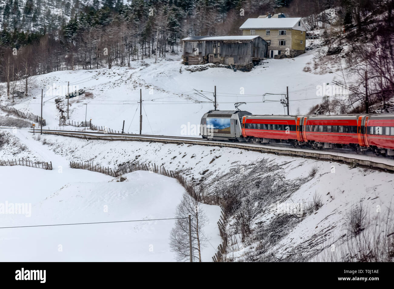 The train journey from Oslo to Bergen in Norway is con sided on elf the finest railway journeys in Europe. This train pulling coaches during winter. Stock Photo