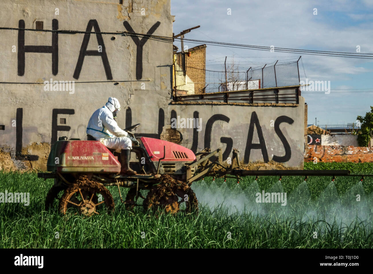 A farmer in a protective suit applies a chemical spray to the onion field, Valencia Spain Agriculture machinery Stock Photo