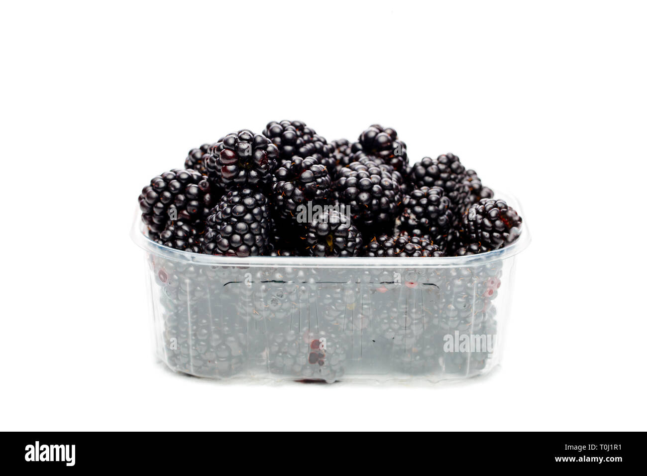 Container of blackberries Cut Out Stock Images & Pictures - Alamy