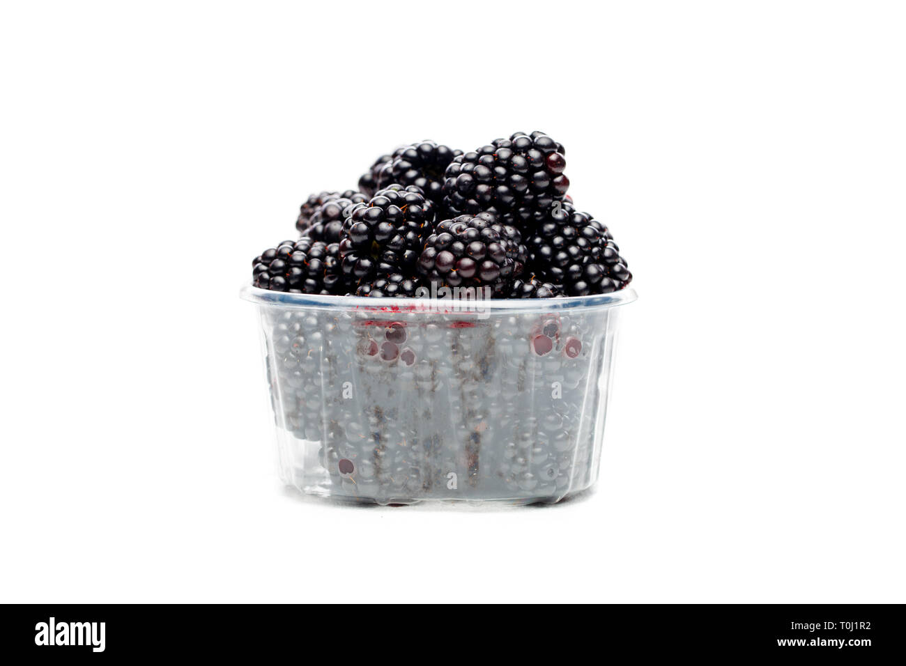 Container of blackberries Cut Out Stock Images & Pictures - Alamy